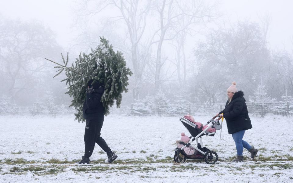 A father carries a Christmas tree across a snow-covered field with his partner and their two children after cutting it down at Mill Farm  in Bodshamm Kent