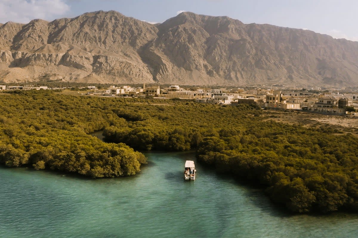 Discovering the world’s first Arabian pearl farm in the mangroves of Al Rams (Ras Al Khaimah Tourism Development Authority)