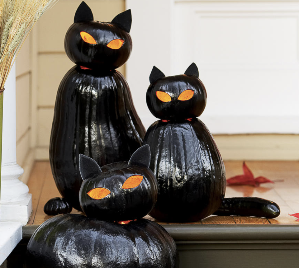 Black Cat-O'-Lanterns