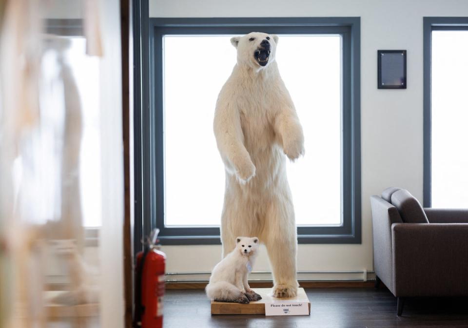 A taxidermied polar bear and Arctic fox are seen at the Kings Bay AS canteen (Reuters)