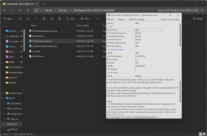 The DLSSTweaks app on Windows.