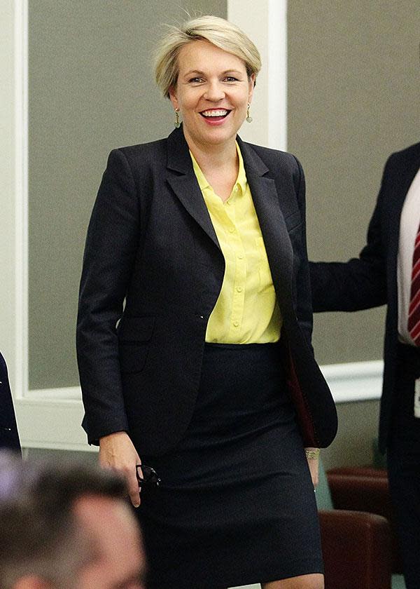 <br><b>TANYA PLIBERSEK</b><br><i> Deputy leader of the Opposition</i> <br><br>"Risk! Risk anything! Care no more for the opinion of others, for those voices. Do the hardest thing on earth for you. Act for yourself. Face the truth"<br><br>"This phrase, from a poem by Katherine Mansfield, has truly shaped my life. I first saw these words on a poster in my Year 9 English class. I read that poster every day for years, and it had a profound effect on me. The teenage years are a hard time, especially for girls, I think, so to hear: be brave, stand up for yourself, stand up for others, was so helpful. “Sometimes you have to do the scary thing. If you let the idea of other people not liking you stop you, you’re only limiting yourself. If you let fear stop you, you’ll never know what you could have achieved. I was the kid who stood up for the kids who were being bullied. Often that means you become a target. But people can only hurt you so much as you allow them."