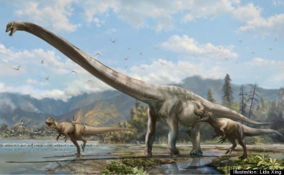 Believed to have roamed <a href="http://www.huffingtonpost.com/2015/01/29/long-neck-dinosaur-discovered-china_n_6570668.html">Asia about 160 million years ago</a>,&nbsp;the Qijianglong was identified by skull and vertebrae fossils unearthed by construction workers in 2006 near Quiang City, China.&nbsp;The&nbsp;dino's neck is extremely long, making&nbsp;up more than half of the creature's 49-foot body.