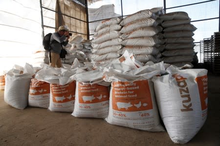 A journalist takes pictures of sacks of animal feed made from black soldier fly larvae, at the Sanergy organics recycling facility near Nairobi
