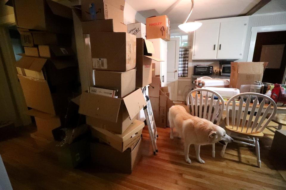 Ellie Mae walks to a stack of empty boxes stacked to the ceiling as she oversees her owner Jake Bolden pack moving boxes in the kitchen of his rental home, in Murfreesboro, on Tuesday, July 18, 2023, while he gets ready to move with his wife Elizabeth Ivey-Bolden, to their first purchased home in Shelbyville.