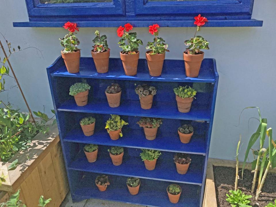 An upcycled bookcase is used as a plant stand (Hannah Stephenson/PA)