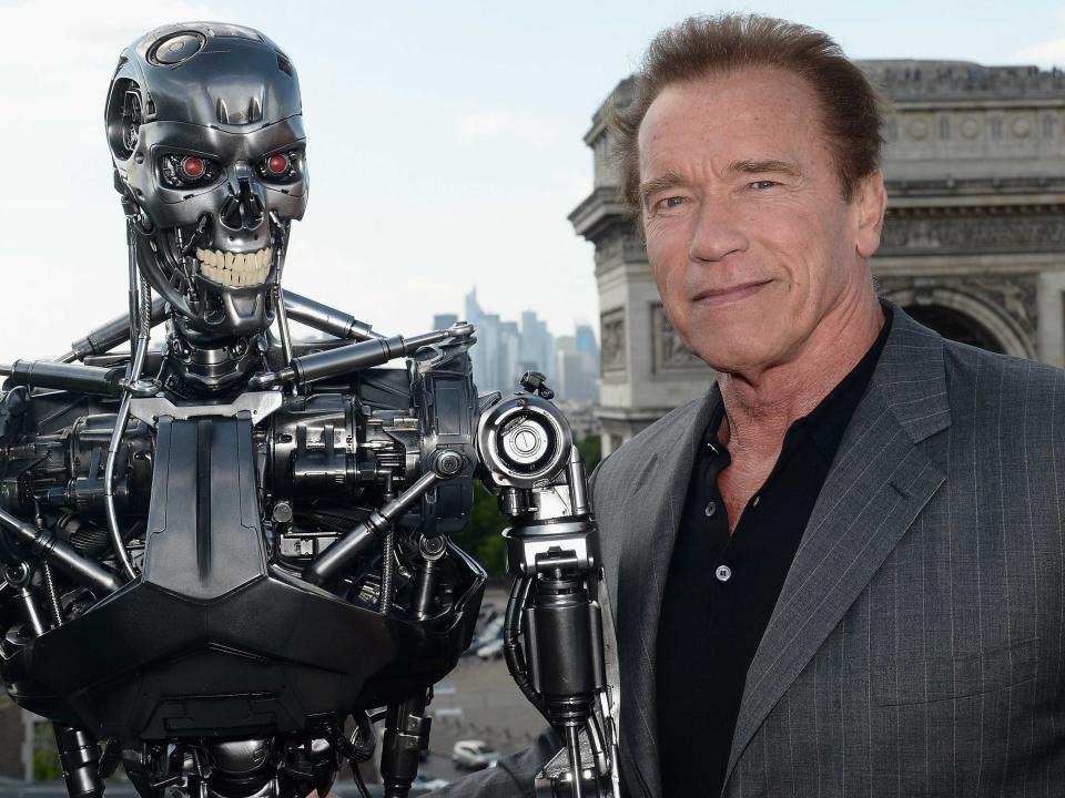 arnold schwarzenegger terminator