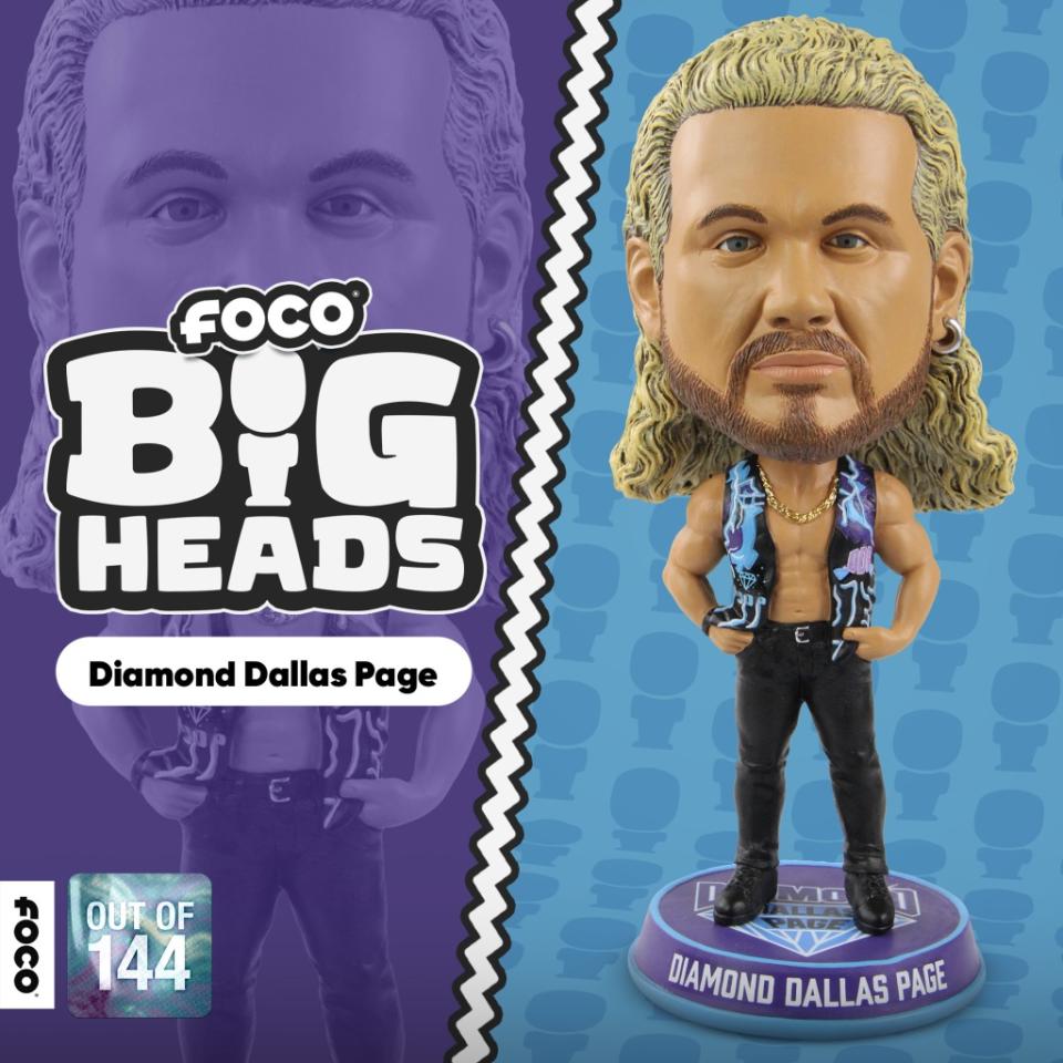 FOCO WWE Bigheads Diamond Dallas Page