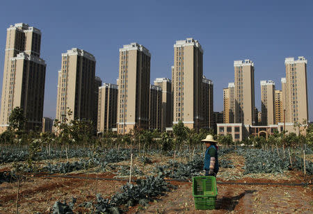 A woman farms in front of a residential compound in Chenggong District of Kunming, Yunnan province, April 14, 2016. The Chinese characters on the boards read "already sold out". REUTERS/Wong Campion