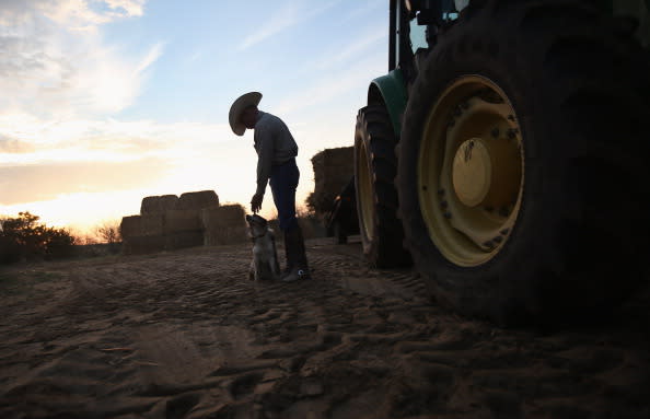 Rancher Gary Wollert pauses before heading out for work on August 23, 2012 near Eads, on the plains of eastern Colorado. The nation's severe drought has been especially hard on cattlemen and exacerbated when Congress recessed for 5 weeks withough passing disaster relief legislation. Most of the high plains areas of eastern Colorado and virtually all of Nebraska and Kansas are still in extreme or exceptional drought, despite recent lower temperatures, according to the University of Nebraska's Drought Monitor. The record-breaking drought, which has affected more than half of the continental United States, is expected to drive up food prices by 2013 due to lower crop harvests and the adverse effect on the nation's cattle industry. (Photo by John Moore/Getty Images)