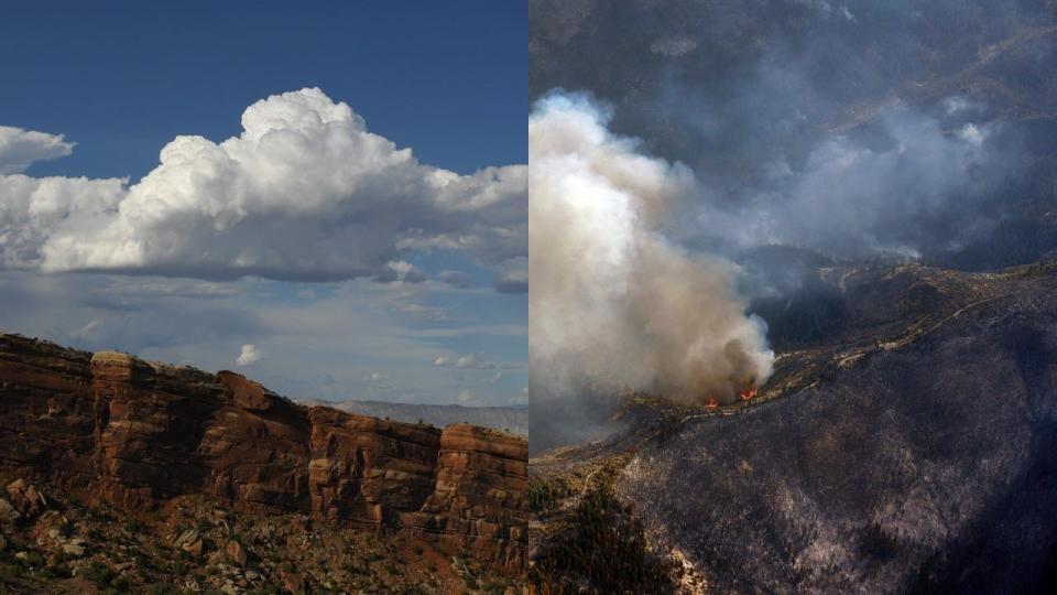 colorado pine gulch fire