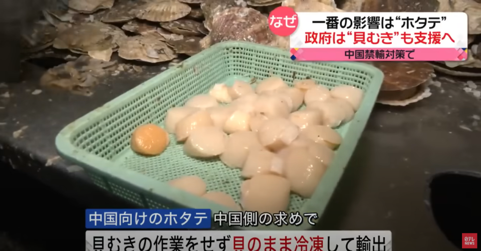 大陸公布水產品禁令，重挫日本漁業。（圖／NNN）