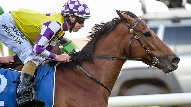 Sacred Elixir is Marshall's tip for the big one. Pic: Getty