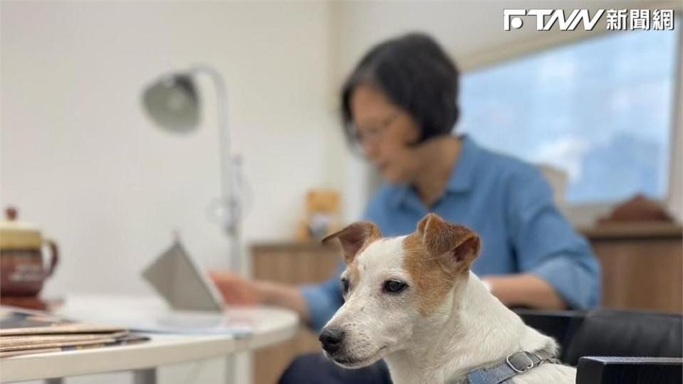 蔡英文與愛犬兜風（圖／蔡英文IG）