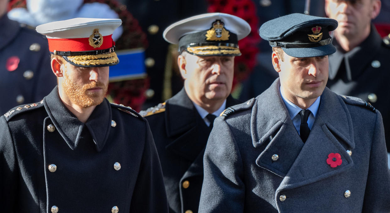 LONDON, ENGLAND - NOVEMBER 11: Prince William, Duke of Cambridge and Prince Harry, Duke of Sussex with Prince Andrew, Duke of York during the annual Remembrance Sunday memorial at the Cenotaph on November 11, 2018 in London, England. (Photo by Mark Cuthbert/UK Press via Getty Images)