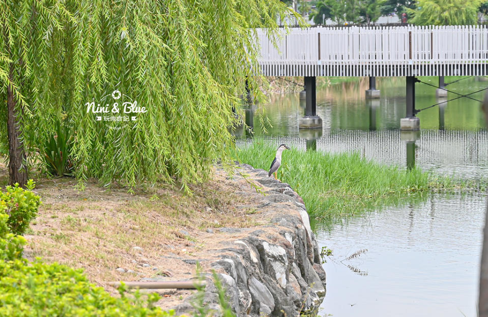 台中｜湧泉公園