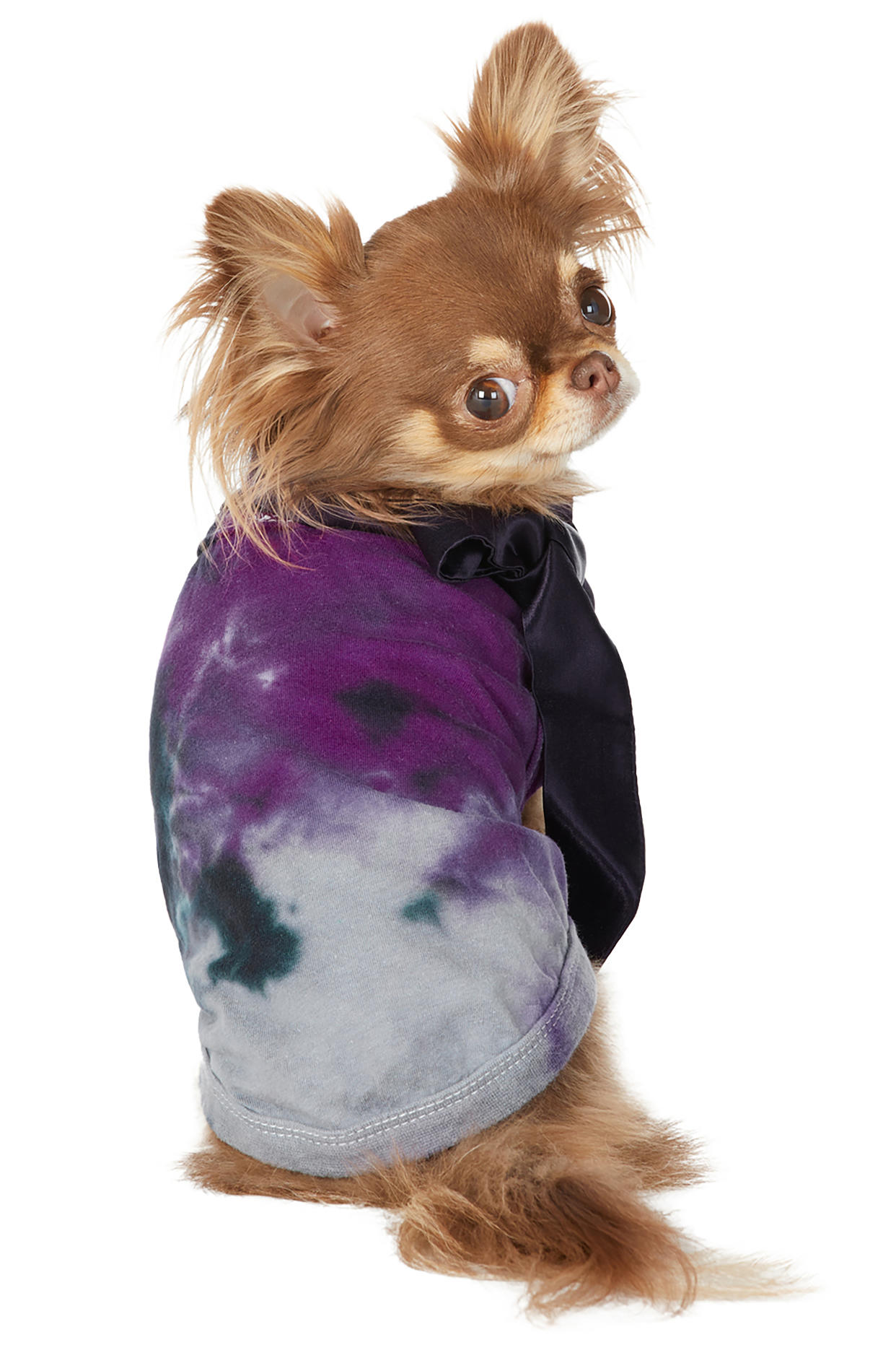 Ssense.com carries pet clothing like this Collina Strada style.  - Credit: Courtesy