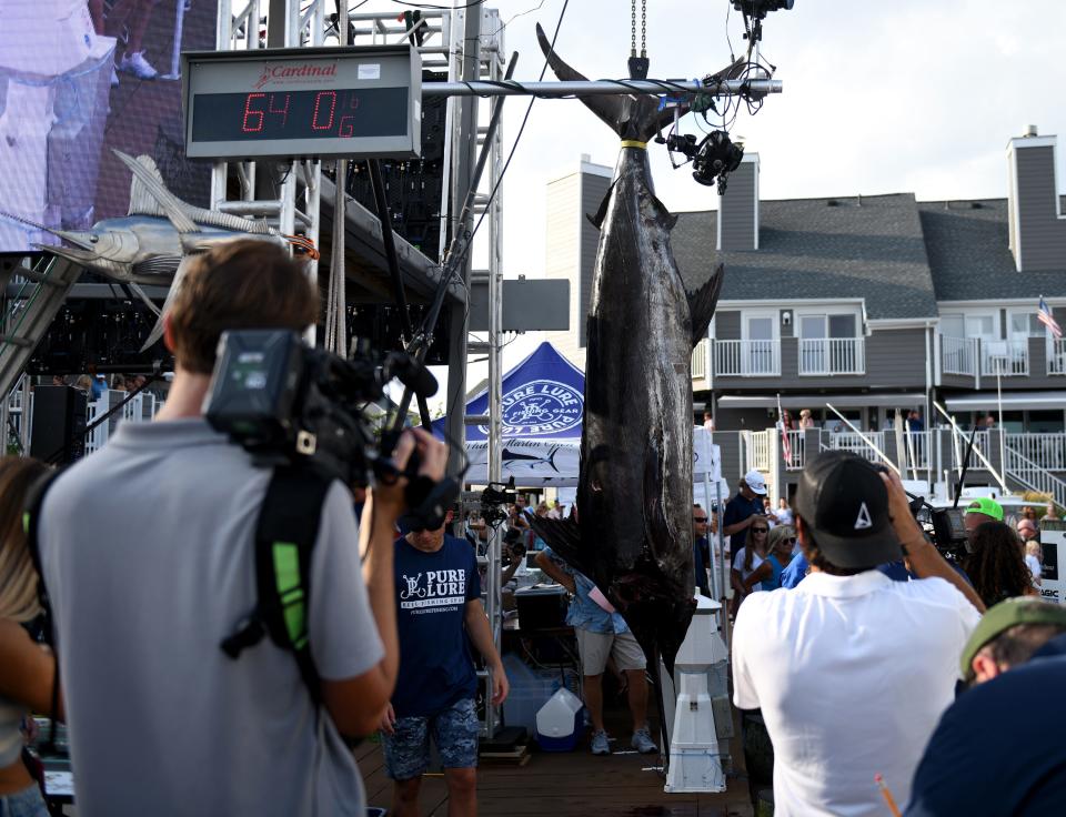 John Ols aboard the Floor Reel brought in this 640.5-pound blue marlin to thrill fans on the final day of the 2023 White Marlin Open.
