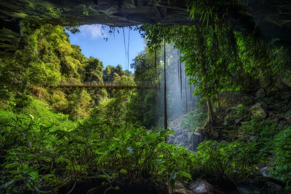 Crystal Shower Falls in Dorrigo National Park, Australia - Credit: AP