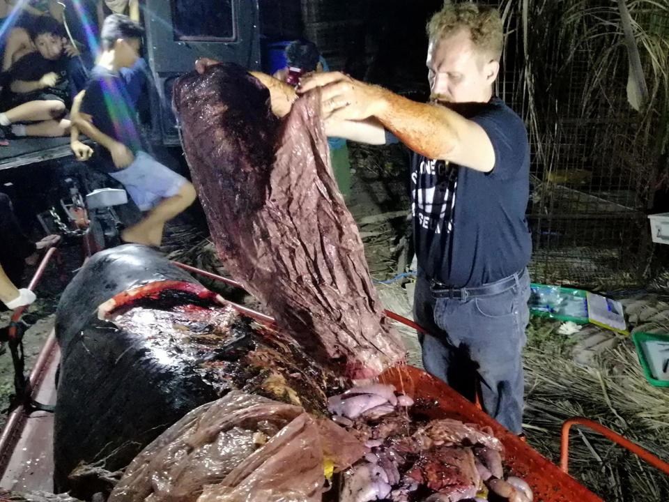 Whale that starved to death had record 40kg of plastic waste in its stomach