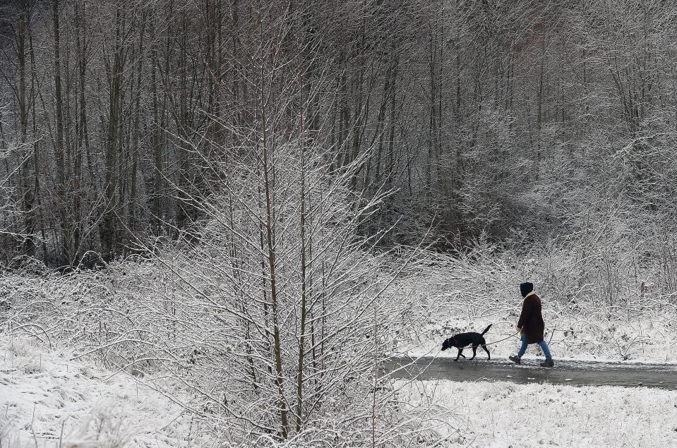 Snow coating the tree limbs creates a wintry scene for a person and their dog walking along the trail of Poulsbo's Fish Park on Wednesday, Feb. 22, 2023.