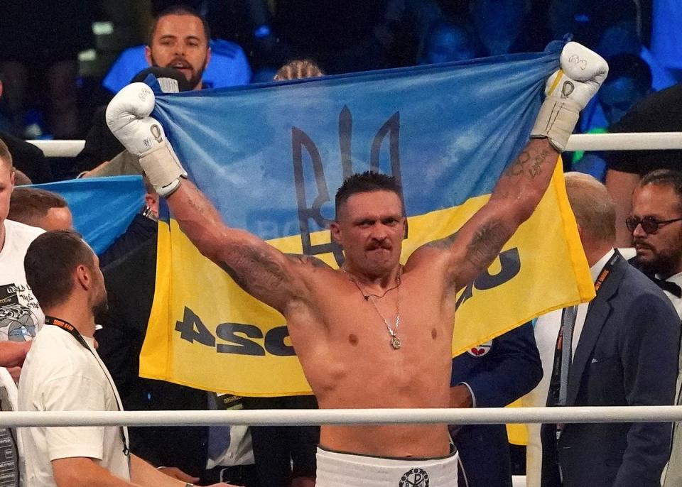 Oleksandr Usyk regained his world titles with a ninth round stoppage over Daniel Dubois  (AFP via Getty)