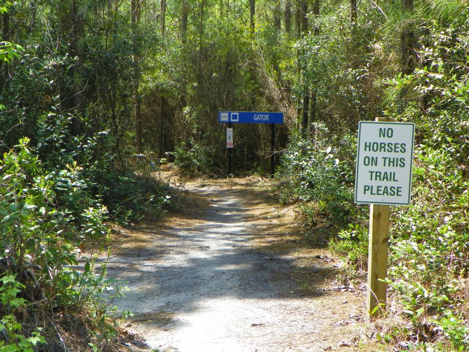 There are several trails in Brunswick Nature Park.