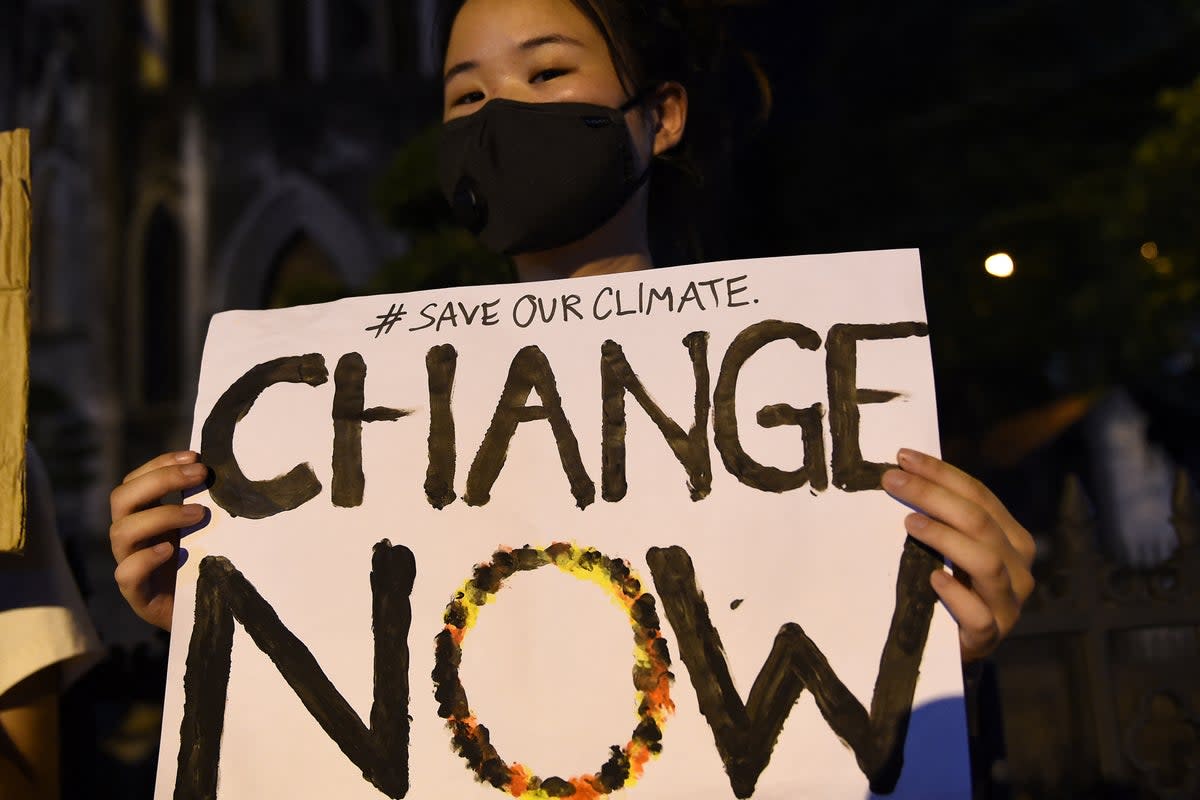 Activists hold placards during a demonstration as part of the global climate strike week in Hanoi  (AFP via Getty Images)