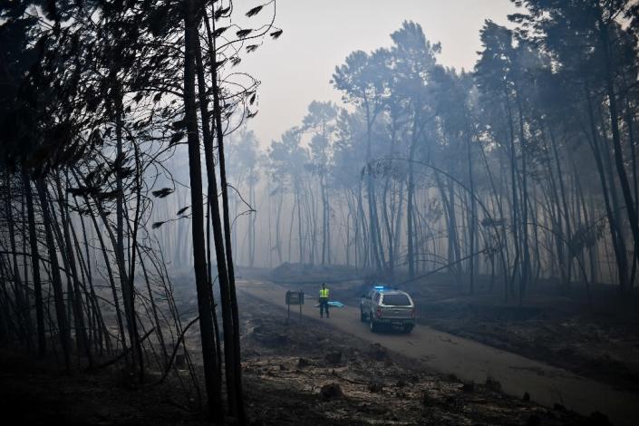 A police officer stands by a covered body, one of over 60 victims of Portugal's wildfires, many killed while fleeing in their cars (AFP Photo/PATRICIA DE MELO MOREIRA)
