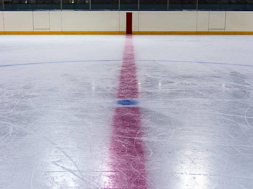 Niagara police say a 17-year-old from Grimsby, Ont., has been charged with assault with a weapon after a hockey player was hit in the head with a stick during a game last month. (Shooter Bob Squar/Shutterstock - image credit)