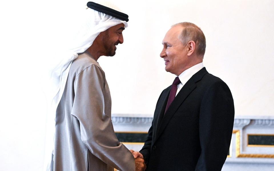 Russian President Vladimir Putin (R) meets with President of the United Arab Emirates (UAE) Mohamed bin Zayed Al Nahyan in St. Petersburg - Anadolu Agency