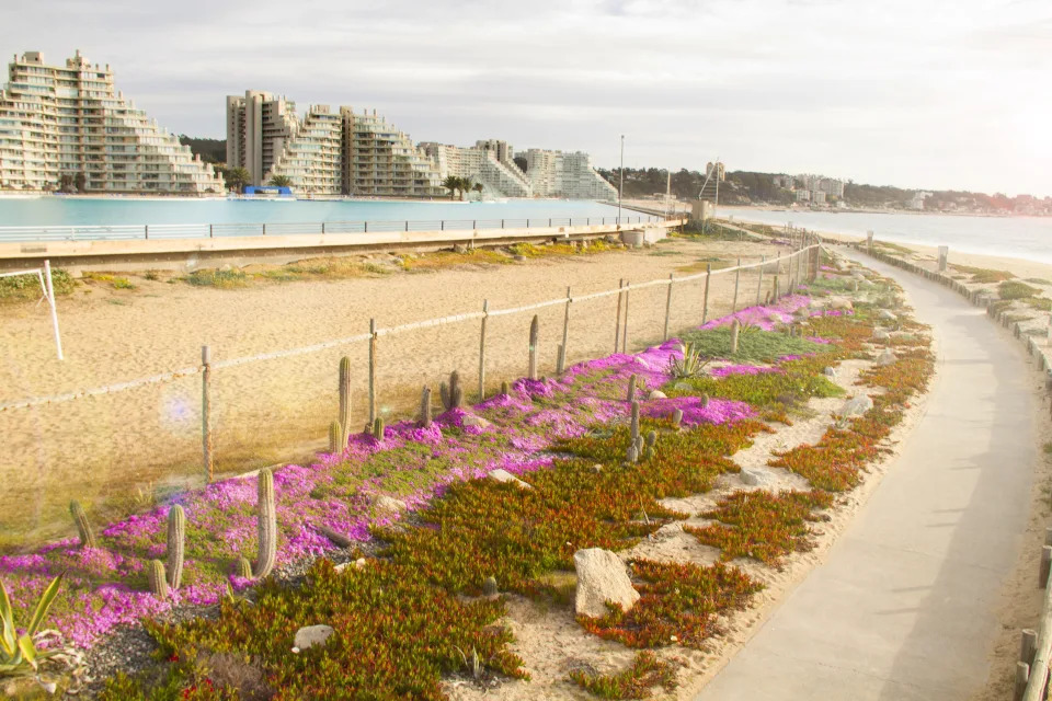 <p>Una pequeña playa de arena separa el océano Pacífico de la laguna artificial, que ocupa una superficie de ocho hectáreas y tiene una profundidad de tres metros. (Foto: Getty Images).</p> 