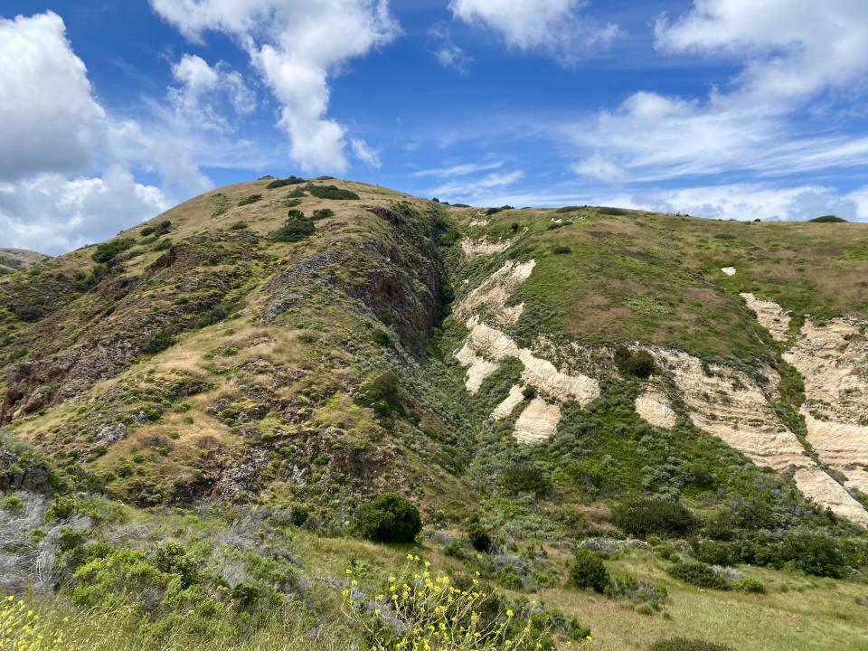 Santa Cruz Island in Channel Islands National Park is the largest of the islands, so hikes offer views of the ocean or the canyons. This was on May 4, 2023. | Sarah Gambles, Deseret News