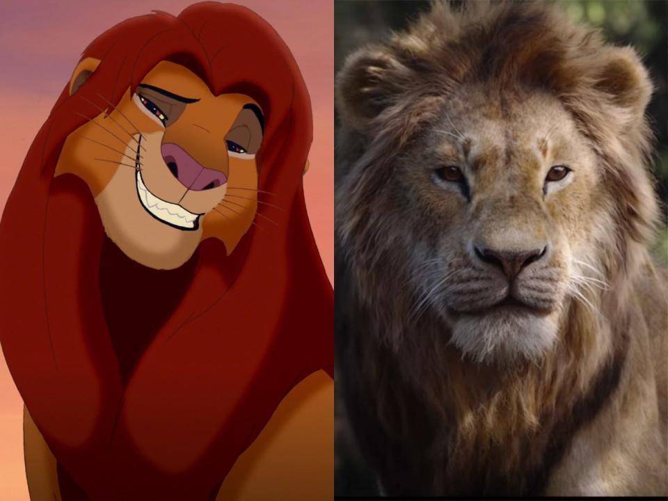 adult simba