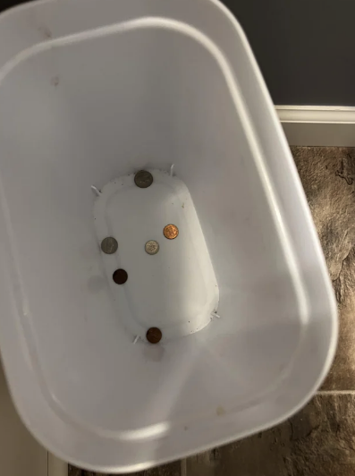 A white trash bin containing five coins: one penny, one dime, one nickel, and two other small coins. The bin is placed on a brown tiled floor