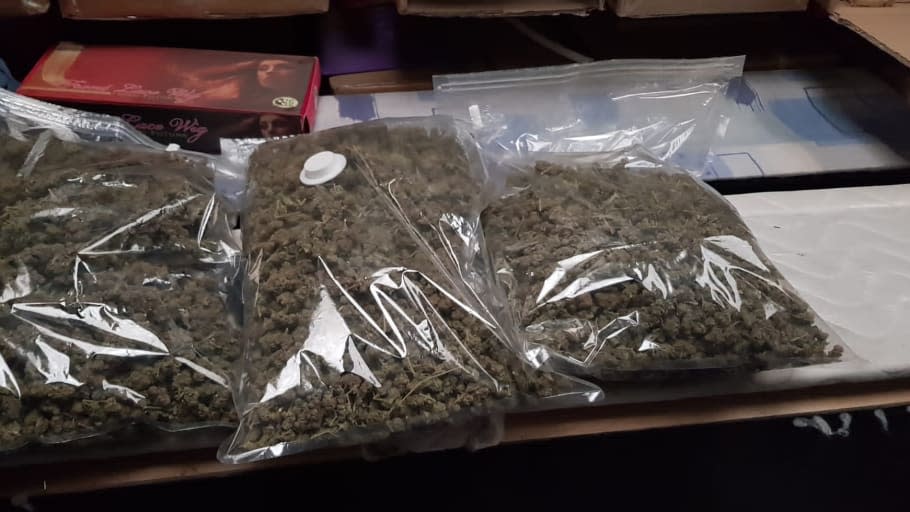 More than 1000 cannabis plants were found in Rainham, east London. (Met Police)