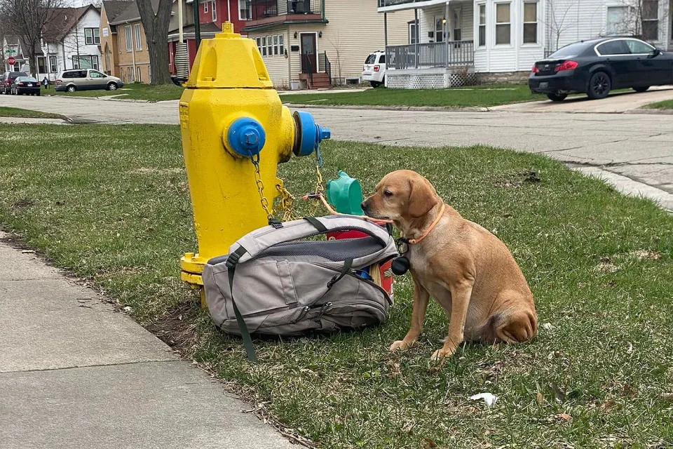 Baby Girl sitting beside the fire hydrant