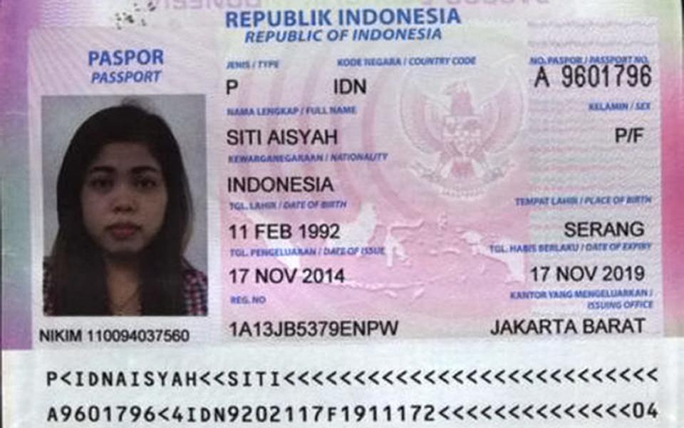 Indonesian suspect in Kim Jong-nam attack 'received $90'