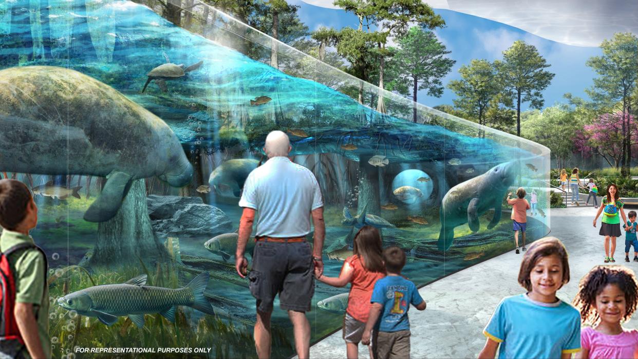 The new Manatee River exhibit planned for the Jacksonville Zoo and Gardens includes an expansion to the zoo's Manatee Critical Care Center.