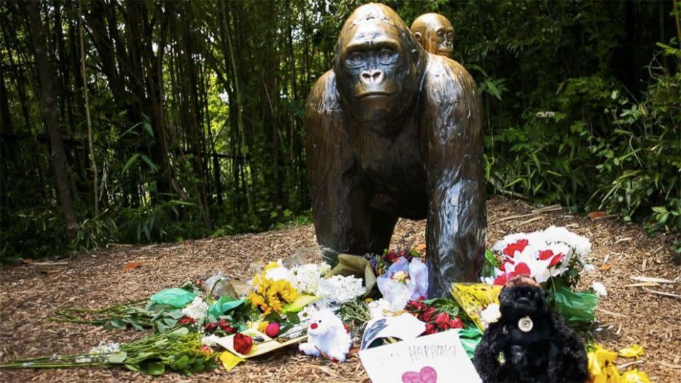 Cincinnati Police have launched a criminal probe into the gorilla incident. Photo: ABC US