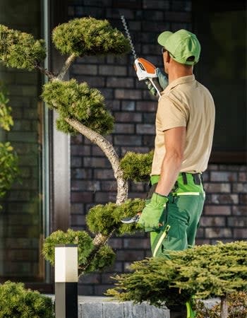 A view of a worker in green and khaki trimming a tree. 