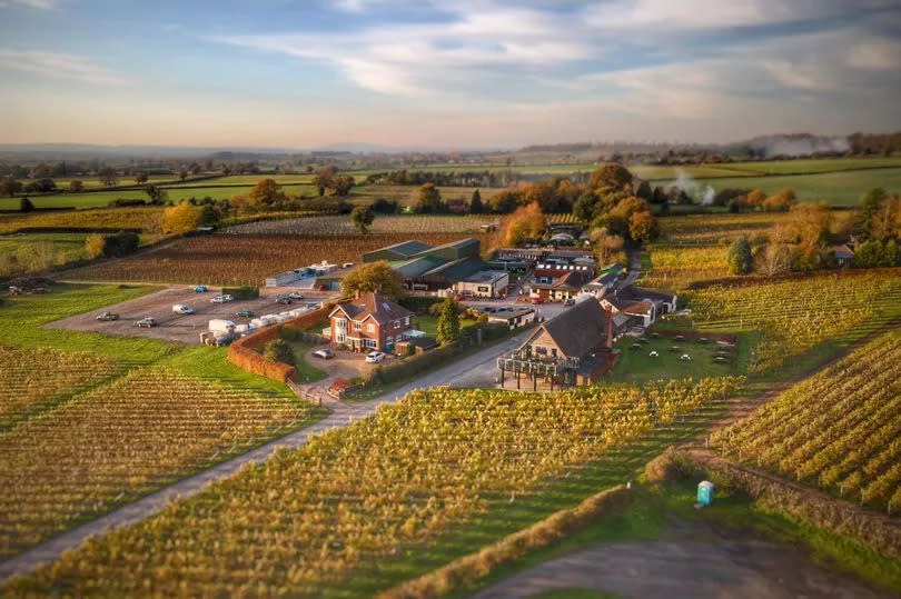 Halfpenny Green Wine Estate