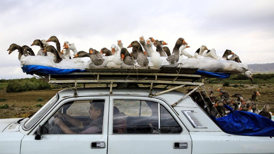 (Photo: Umit Bektas / Reuters)