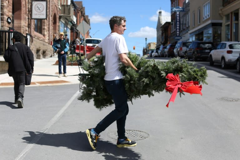 A set decorator carries a Christmas tree during filming of 'Hocus Pocus Christmas' on April 16 in Almonte, Ontario, just outside Ottawa (Dave Chan)