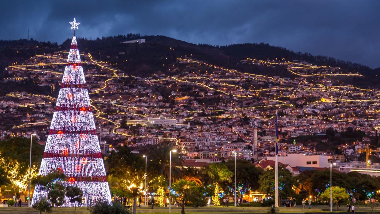 skyline of funchal at night with a christmas tree