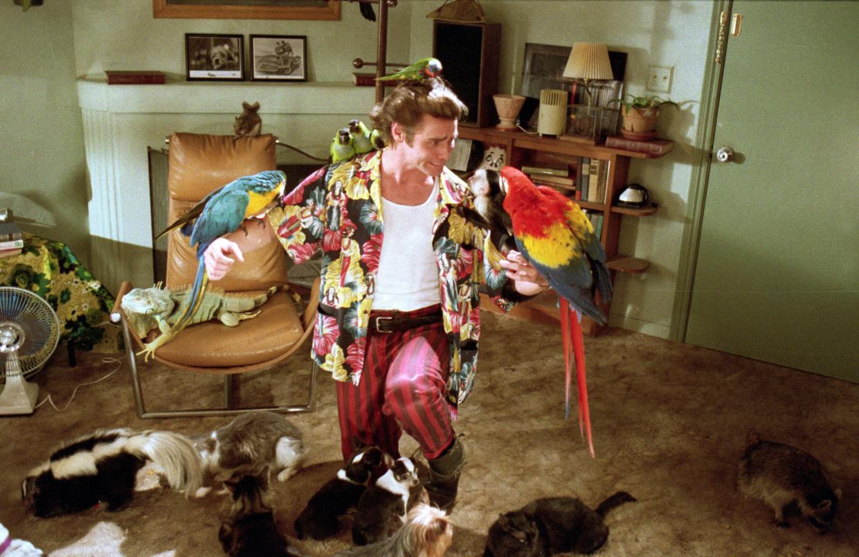 Jim Carrey's animal-loving Ace Ventura was never far from his furry friends. (Alamy)