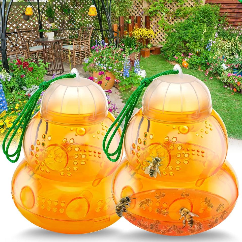 HiAnifri Outdoor Hanging Wasp Trap (Photo via Amazon)