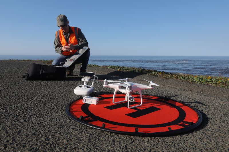 Kirk Klausmeyer, director of data science of Nature Conservancy's California chapter, switches out a battery in his drone for a kelp forest survey flight near Gualala, California