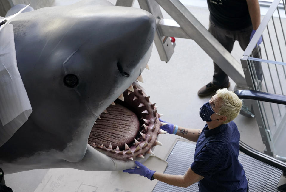 Phyllis Cottrell, exhibitions installation manager for new Academy of Museum of Motion Pictures, watches over a fiberglass replica of Bruce, the shark featured in Steven Spielberg's 1975 classic "Jaws," before it was raised into a suspended position for display at the museum, Friday, Nov. 20, 2020, in Los Angeles. The museum celebrating the art and science of movies is scheduled to open on April 30, 2021. (AP Photo/Chris Pizzello)