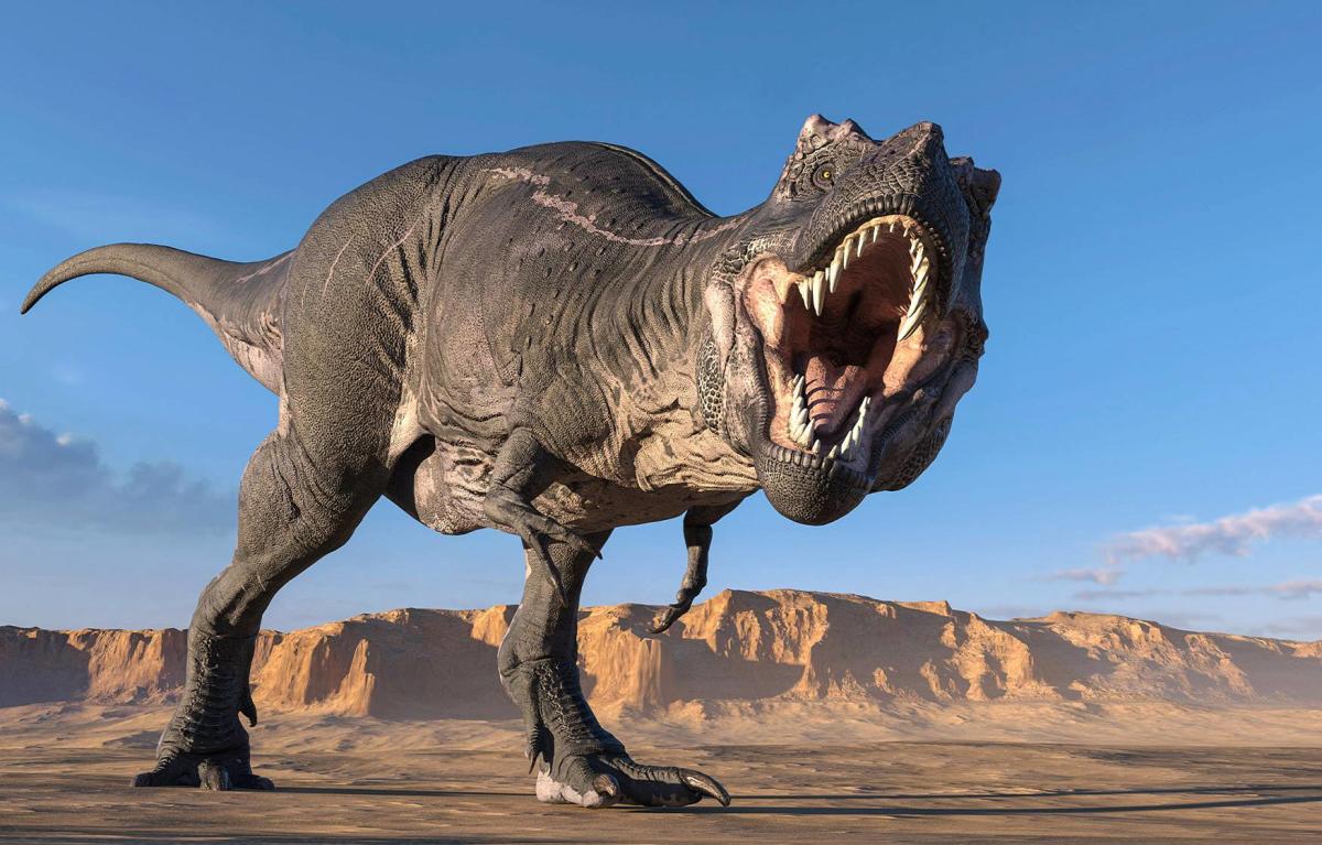 What Dinosaur Would the Tyrannosaurus Rex Have Been Afraid of